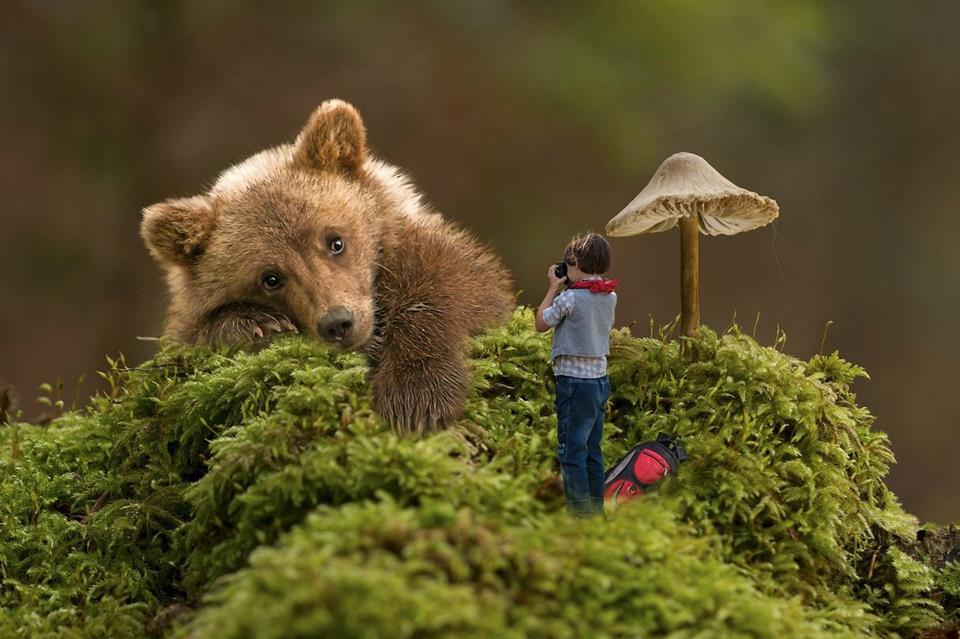 Such A Big Bear jigsaw puzzle